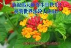 ֹ,󷨵ӹ編ִʦ𻪵(25)

