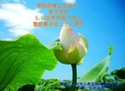ֹ,󷨵ӹ編ִʦ𻪵(21)

