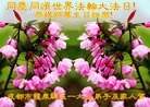 ֹ,ɶ󷨵ӹ編ִʦ𻪵(26)
