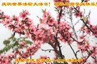 ֹ,ɶ󷨵ӹ編ִʦ𻪵(26)
