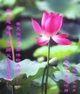 ֹ,󷨵ӹ編ִʦ𻪵(26)
