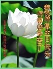 ֹ,󷨵ӹ編ִʦ𻪵(25)
