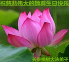 ֹ,󷨵ӹ編ִʦ𻪵(25)
