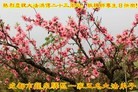 ֹ,ɶ󷨵ӹ編ִʦ𻪵(26)
