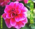 ֹ,ʡ󷨵ӹ編ִʦ𻪵(22)
