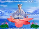 ֹ,󷨵ӹ編ִʦ𻪵(23)
