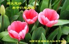 ֹ,󷨵ӹ編ִʦ𻪵(40)
