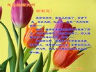 ֹ,󷨵ӹ編ִʦ𻪵(40)
