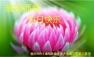 ֹ,󷨵ӹ編ִʦ𻪵(22)
