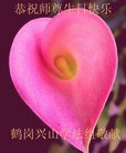 ֹ,󷨵ӹ編ִʦ𻪵(24)
