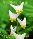 ֹ,󷨵ӹ編ִʦ𻪵(24)
