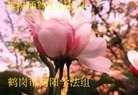 ֹ,󷨵ӹ編ִʦ𻪵(24)
