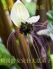 ֹ,󷨵ӹ編ִʦ𻪵(24)
