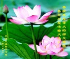 ֹ,󷨵ӹ編ִʦ𻪵(22)
