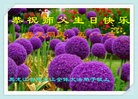 ֹ,󷨵ӹ編ִʦ𻪵(23)
