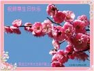ֹ,󷨵ӹ編ִʦ𻪵(24)
