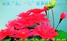 ֹ,󷨵ӹ編ִʦ𻪵(19)
