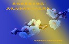 ֹ,󷨵ӹ編ִʦ𻪵(25)
