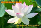 ֹ,ϴ󷨵ӹ編ִʦ𻪵(26)
