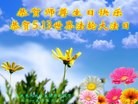 ֹ,󷨵ӹ編ִʦ𻪵(19)
