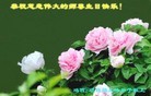 ֹ,󷨵ӹ編ִʦ𻪵(40)
