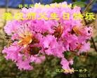 ֹ,մ󷨵ӹ編ִʦ𻪵(26)

