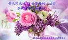 ֹ,󷨵ӹ編ִʦ𻪵(24)
