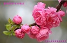 ֹ,󷨵ӹ編ִʦ𻪵(24)

