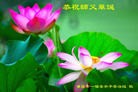 ֹ,󷨵ӹ編ִʦ𻪵(25)
