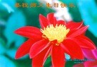 ֹ,󷨵ӹ編ִʦ𻪵(46)
