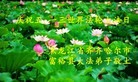 ֹ,󷨵ӹ編ִʦ𻪵(22)
