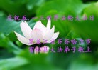 ֹ,󷨵ӹ編ִʦ𻪵(22)
