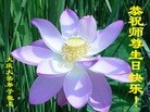 ֹ,󷨵ӹ編ִʦ𻪵(23)

