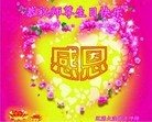 ֹ,ʡ󷨵ӹ編ִʦ𻪵(26)
