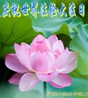ֹ,ʡ󷨵ӹ編ִʦ𻪵(26)
