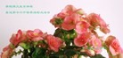 ֹ,ʡ󷨵ӹ編ִʦ𻪵(26)
