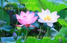 ֹ,󷨵ӹ編ִʦ𻪵(22)
