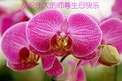 ֹ,ľ˹󷨵ӹ編ִʦ𻪵(18)
