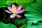 ֹ,ľ˹󷨵ӹ編ִʦ𻪵(18)

