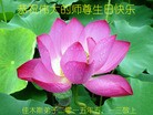 ֹ,ľ˹󷨵ӹ編ִʦ𻪵(18)
