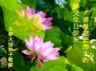 ֹ,󷨵ӹ編ִʦ𻪵(20)
