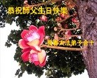 ֹ,󷨵ӹ編ִʦ𻪵(20)
