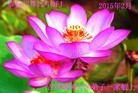 ֹ,󷨵ӹ編ִʦ𻪵(20)
