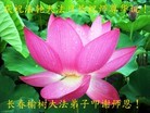 ֹ,󷨵ӹ編ִʦ𻪵(20)
