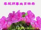ֹ,󷨵ӹ編ִʦ𻪵(19)
