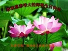 ֹ,󷨵ӹ編ִʦ𻪵(20)
