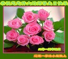ֹ,ʡ󷨵ӹ編ִʦ𻪵(19)

