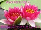 ֹ,󷨵ӹ編ִʦ𻪵(24)
