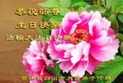 ֹ,ʡ󷨵ӹ編ִʦ𻪵(19)
