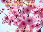 ֹ,󷨵ӹ編ִʦ𻪵(20)
